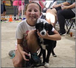 Marshall County Fair