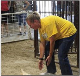 Marshall County Fair