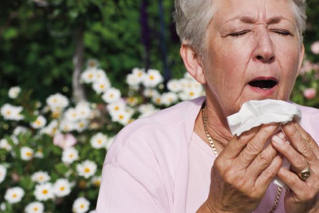 ACHOO! How to not let allergies