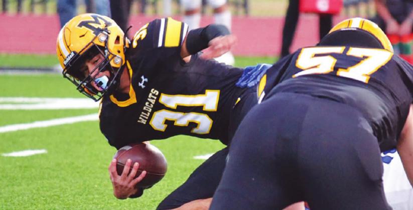Wildcats zip past Comets for win in Homecoming game
