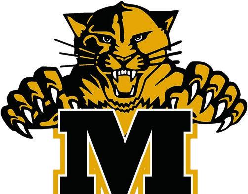 Madill softball picks up three solid victories