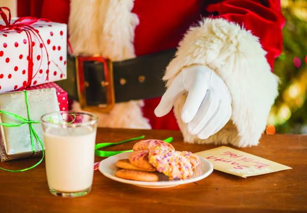 Santa and reindeer cookies