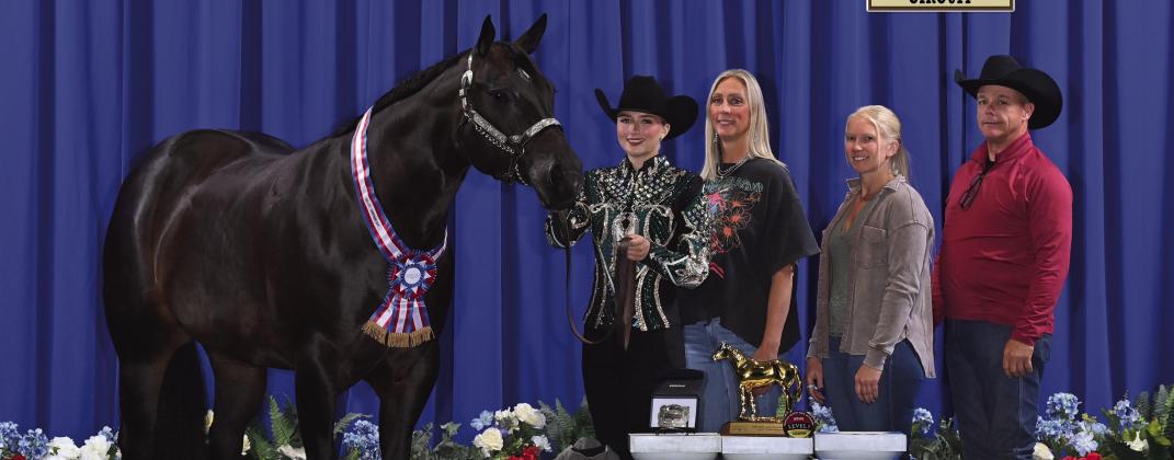 Ella Weaver had an incredible 16th birthday by winning multiple categories at the AQHA Level 1 Championship, earning a spot at the AQHYA World Championship Show. Courtesy photo