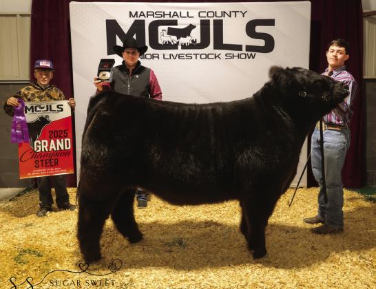 Grand Steer- Isaac Grimaldo