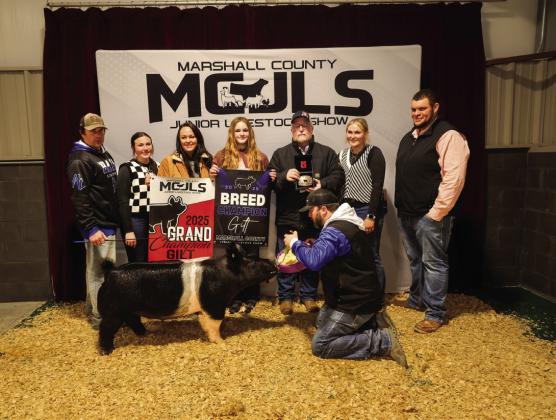 Champion Gilt- Mayla Coleman