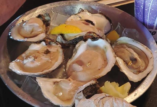 The Catch offers succulent oysters on their menu. Jedi Chef