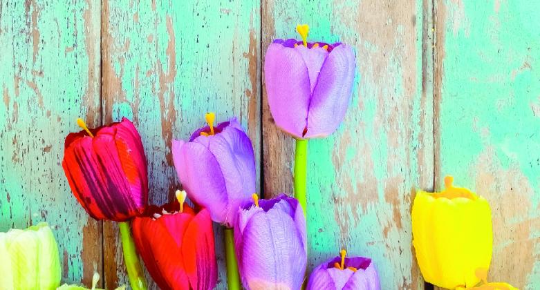 TFD: Spring is almost here