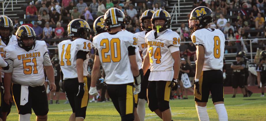 The Wildcats lost to Dickson and will face Ardmore on Friday. Courtesy photo