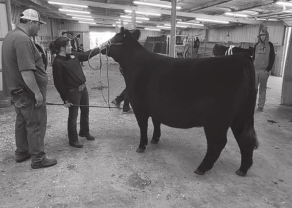 The Southeast Regional Livestock Show