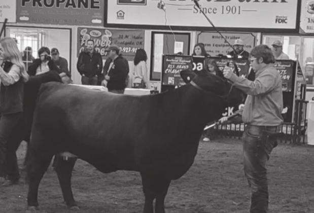 The Southeast Regional Livestock Show