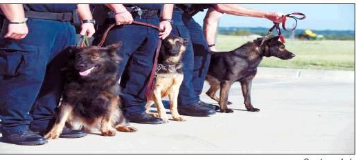 Chickasaw canine companions protect and serve