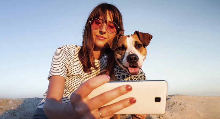 How to travel safely with your pet