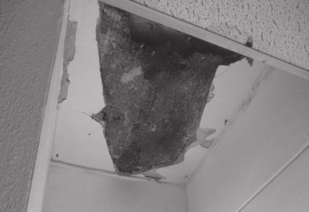 Damage from a roof leak is shown inside a housing unit at the William S. Key Correctional Center in Fort Supply. Courtesy photo