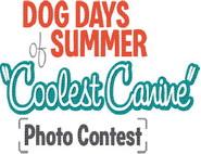 Go vote for your favorite dog photo. Visit https://www.gogophotocontest.com/madillrecorddogdaysofsummerphotocontest