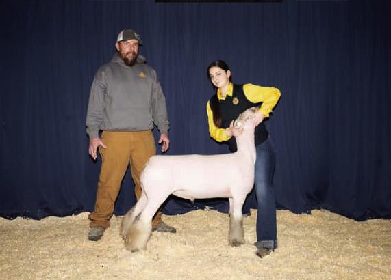 Madill FFA show animals at Southeast Regionals