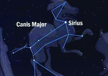 The term 'Dog days of summer' derive from Canis Major. Courtesy photo