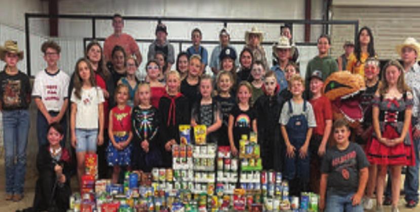 Joint 4H groups host County Night Out