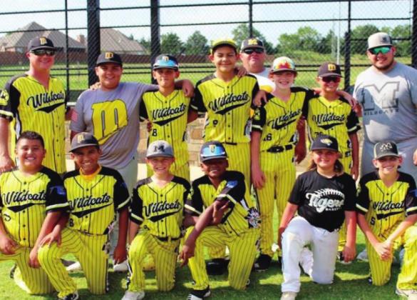Wildcat baseball plays in tournament
