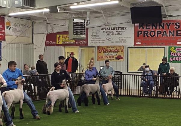 Madill FFA participated in the SOE sheep show January 14. The following placed: Emily Arnold won Res. Champion, Sr. Showman and Reserve Champion Shropshire lamb, Zoey Goff- Res. Champion Int. Showman, Champion Dorset lamb and Bronze Natural lamb and Jackson Harper - Bronze Speckle Face Lamb. Courtesy Photos