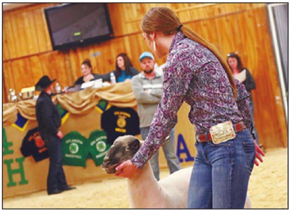 Madill senior Ashlynn Arnold showing a goat for FFA, one of the many activities she will miss. Courtesy photo