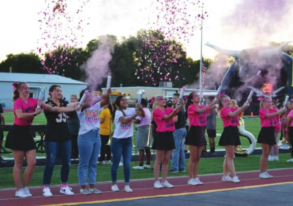 Madill Pink Out Night