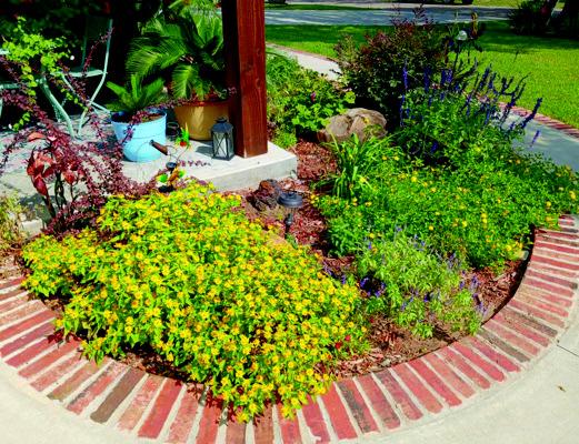September Yard of the Month