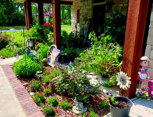 Courtesy photo Nancy Carter on East Harris was named Madill Rose Garden Club September Yard of the Month. Carter takes great pride in her yard and said she is enjoying the cool weather. She has a variety of plants, flowers and ferns, including Sago plants, Boston ferns, tropical hibiscus and Lantanas. She uses a variety of perennials in her flower beds. Her trees are Heritage Live Oaks, Chinese Pistache and Crepe Myrtles.