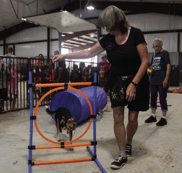 COUNTY FAIR
