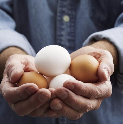 High prices on eggs are also being coupled with egg limits and shortages. One of the ways to manage may be to temporarily reduce reliance on eggs by utilizing some alternatives. Courtesy photo