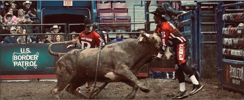 Madill native Dekevis Jordan goes head to head with a bull during the Chickasaw Nation World Championship Rodeo Bullfighting finals while Austin Ashley watches. The finals were held September 15 and 16 at the Hardy Murphy Coliseum in Ardmore. Courtesy photo