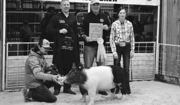 Marshall County 78th Annual Youth Lifestock Show Reserve Winners