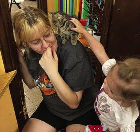 How to prevent lost pets