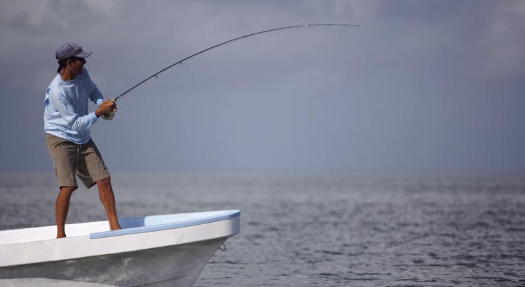 Some popular hobbies around the world