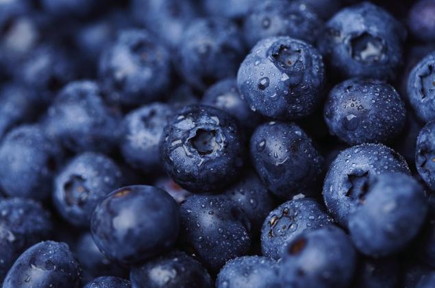 Blueberries are not only low in calories, they’re full of nutrients the body needs to thrive.