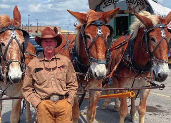 Randy Boehmer travels the nation with his fi ve mule companions to spread the word of God. Tom Stewart