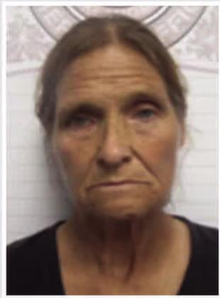 Tanya Brink was arrested in Pauls Valley for multiple charges. Courtesy photo