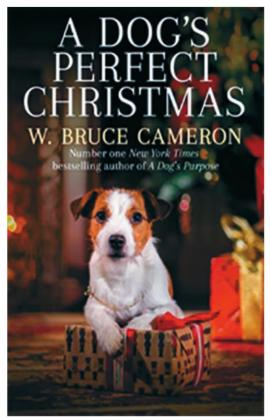Library Greeting: Some light reading to make it through Christmas break