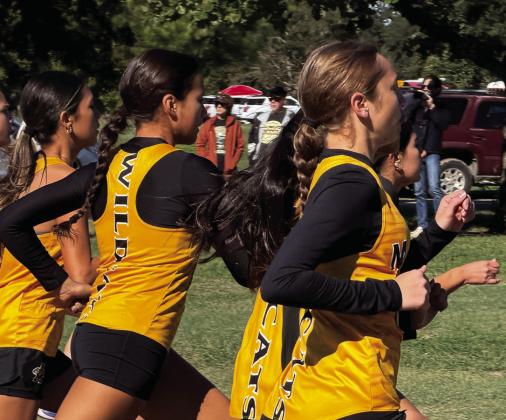 MHS Cross Country