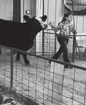 Local girls compete in the Tishomingo Cattle Show