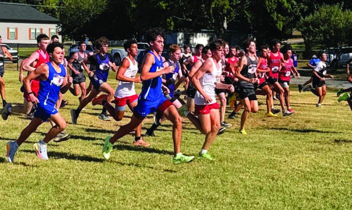 Kingston cross country builds momentum