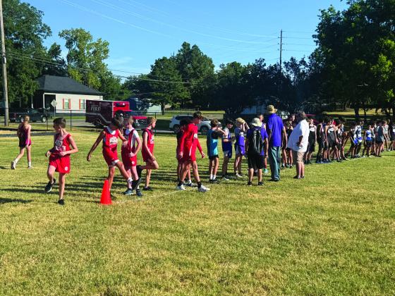 Kingston cross country builds momentum