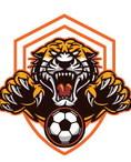 Soccer Alumni encourage Lady Wildcats