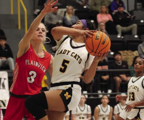 Lady Wildcats fall to Plainview