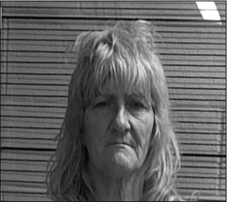 Two women arrested for Breaking and Entering