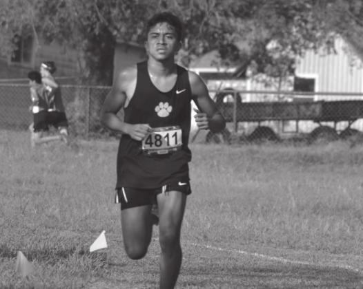 All Madill teams place at Cat Run