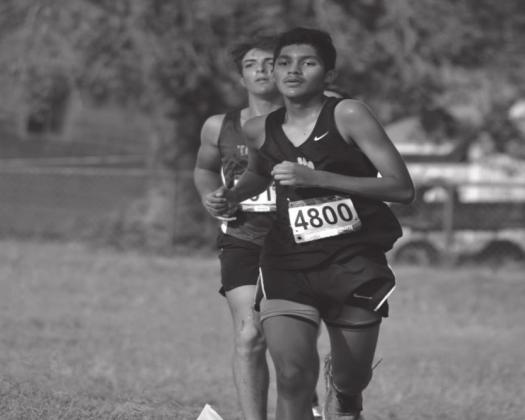 All Madill teams place at Cat Run