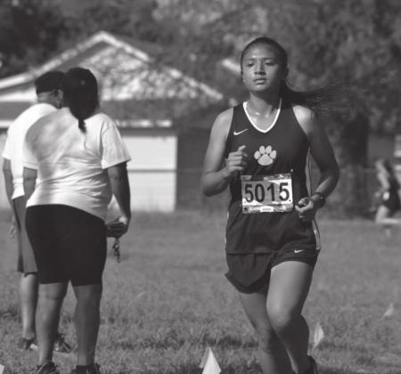 All Madill teams place at Cat Run