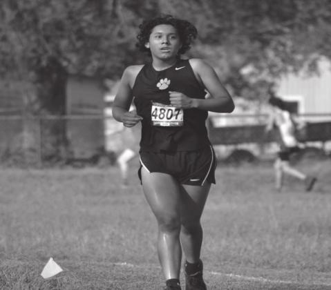 All Madill teams place at Cat Run