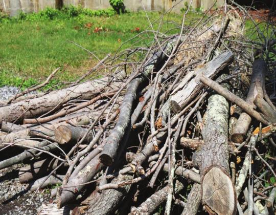 Do-it-yourselfers can typically clear land on their own, but some safety strategies should be kept in mind to ensure the process goes smoothly. Courtesy photo