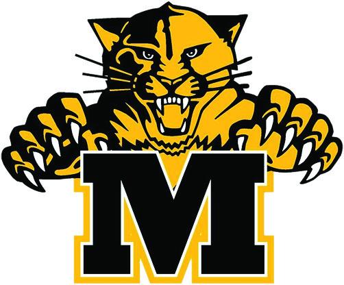 Lady Wildcats juggle between wins and losses
